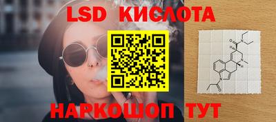 прущие грибы Брянск