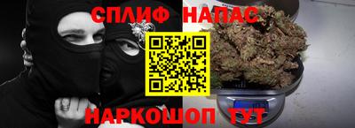 прущие грибы Брянск