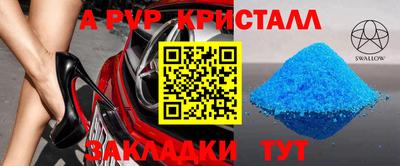 прущие грибы Брянск