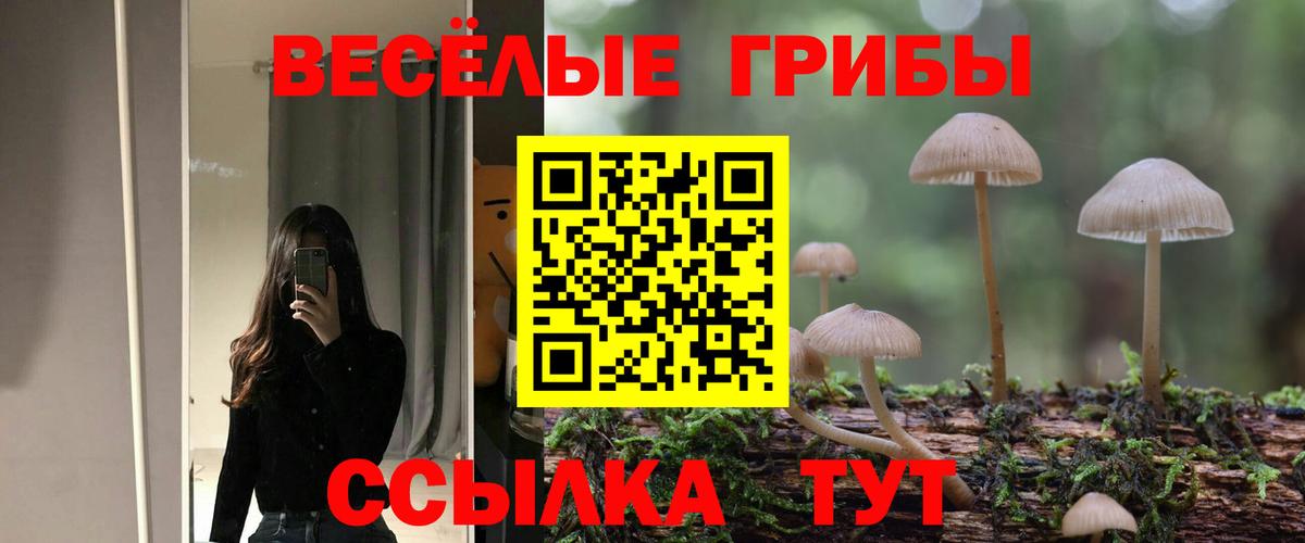 Галлюциногенные грибы GOLDEN TEACHER  Галлюциногенные грибы мухоморы  закладки  Вход с VPN  Краснокамск 